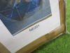 Impex Ceiling Light, Plastic Multi Coloured Shade, Product Code NE201. Bulb not Included. RRP &pound;80.00. - 5