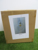Impex Ceiling Light, Glass Shade, Product Code NE204. Bulb Not Included. RRP &pound;80.00. - 3