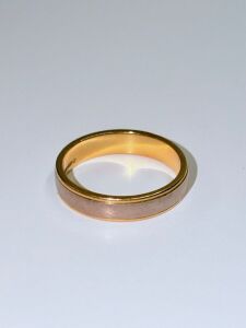 18ct Yellow & White Gold Ring, Hallmarked AU 750, with Silver Inlay. Size "T". Weigh 6.41g.