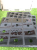 6 x Assorted Twiddleys Flatbed Jigs to Include: 1 x Contour Pen Jig, 1 x Straight Pen Jig, 1 x Insulated Bottle Jig, 1 x Standard USB Jig, 1 X Golf Ball Jig & 1 x CR80 Cards. - 2