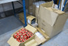 Large Assortment of Packaging & Shipping Consumables to Include: Boxes, Bubble Wrap, Tubes, Film, Envelopes, Bags etc. (As Viewed). - 10