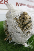 Bag of 125 x Sticks of 6ft (12-14mm) Bamboo Cane. - 2