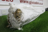 Bag of 125 x Sticks of 6ft (12-14mm) Bamboo Cane.