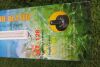Hailea WT-128 Auto Constant Temperature Aquarium Heater, for Fresh & Salt Water. - 3
