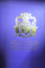 The East India Company Queen Elizabeth II Platinum Jubilee Limited Edition Commemorative Tea Caddy, in Original Box. - 4