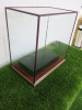 Glass Display Case with Wooden Plinth, Size H54 x W54 x D32cm. - 2