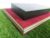 Glass Display Case with Wooden Plinth, Size H54 x W54 x D32cm. - 6