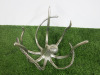 Culinary Concepts Octopus Stand. - 9
