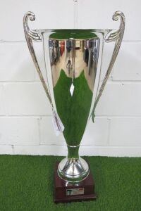 1 x 1st Place Pro AM 24hrs Cup Trophy. (As Viewed/Pictured).