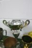 9 x Assorted Racing Trophies. (As Viewed/Pictured). - 2
