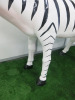 Large Life Size Zebra Fibreglass & Resin Sculpture, Size H120 x W200 x 50cm. - 5