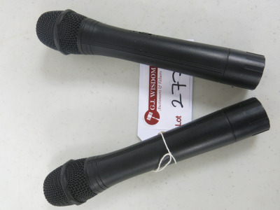 2 x Runze Wireless Microphones.