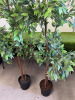 2 x Faux Plants. Size Approx 6ft. - 3