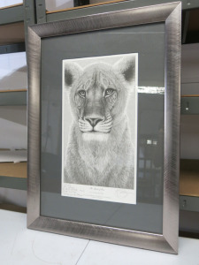 "The Spirit of Elsa" Mounted, Framed & Glazed. Signed 'To Oliver - Virginia McKenna. Size 44cm x 63cm.