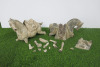 2 x Display Cast Horse Models. NOTE: require extensive repair.