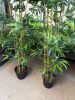 2 x Faux Bamboo. Size Approx 6ft. - 2