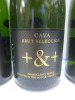 3 x Bottles of Cava Brut Selection Sparkling Wine - 2