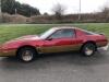 1982 - Pontiac Firebird Trans Am 5000c V8, LHD with Cherished Registration TIB 6787 - 10