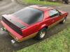 1982 - Pontiac Firebird Trans Am 5000c V8, LHD with Cherished Registration TIB 6787 - 11