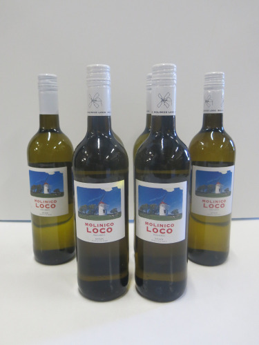 6 x Bottles of Molinico Loco Macebo White Wine, 2025.