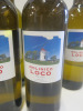 6 x Bottles of Molinico Loco Macebo White Wine, 2025. - 2
