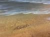 Canvas Sunset Shoreline Picture. Size 91 x 61cm. - 2