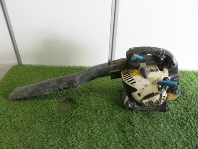 MacAllister Petrol Leaf Blower.