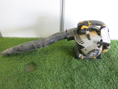 Titan TTL684BVC Petrol Leaf Blower.