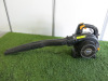 Titan TTVBP25-2 Petrol Leaf Blower. NOTE: requires new pull start.