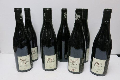 8 x Thierry Germain Terres Chaudes Saumur Champigny Red Wine, 2019, 750ml.