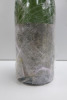 Domaine Roulot Meursault Clos des Boucheres Monopole White Wine, 2011, 750ml. (Condition as Viewed). - 2