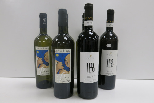 6 x Bottles of White Wine to Include: 4 x Gavi Luna Sul Poggio 2023 & 2 x Sanvitis Lazio Bellone 2017.