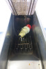 Valentine Single Pan Basket Fryer, Model EVO 250. Size H90 x W20 x D60cm. - 4