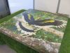 2 x Stretch Canvas Prints to Include: 1 x Bird of Paradise & 1 x Great Hornbull, Size 88 x 86cm. - 10