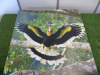 2 x Stretch Canvas Prints to Include: 1 x Bird of Paradise & 1 x Great Hornbull, Size 88 x 86cm. - 5