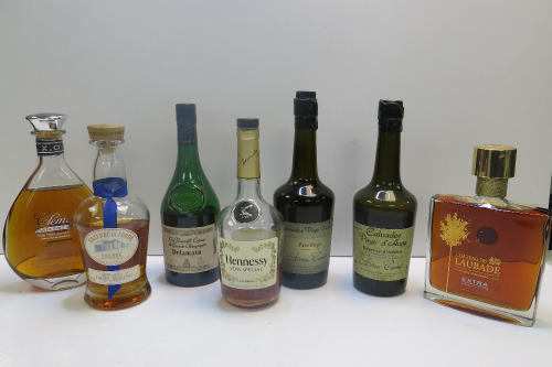 7 x Unsealed Assorted Bottles of Cognac.