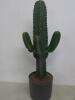 Real Cactus in Grey Pot. Size (H)95cm