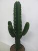 Real Cactus in Grey Pot. Size (H)95cm - 2