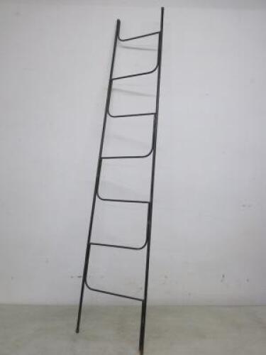 Decorative Display Ladder. Size (H)180cm