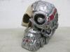 3 x Decorative Skulls to Include: 2 x Human & 1 x Animal in Glass Display - 4