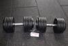 Pair of 55kg Body Rip Dumbbells