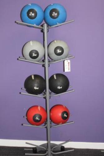 Rack of 8 x Life Fitness Medicine Balls to Include: 2 x 2kg/2 x 3kg/2 x 4kg/2 x 5kg