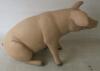 Small Sitting Pink Pig Resin & Fibreglass Statue - 4