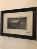 Glazed, Framed & Mounted Picture of Envelope. Size H63cm x W83cm - 2