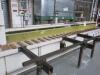 Centauro Straight Line RIP Saw, Model SLG 5000, S/N 7810, Year 2005. Size 5m Bed with Digital Measuring - 2