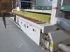 Centauro Straight Line RIP Saw, Model SLG 5000, S/N 7810, Year 2005. Size 5m Bed with Digital Measuring - 7