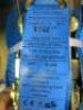 10 x The Ratchet Shop, Ratchet Strops 10m Long Lashing Capacity 2000daN, Minimum Breaking Force 4000daN, Year 2016 (Unused) - 2