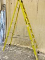 Set of Youngman S400, F/G Step 10T Ladder