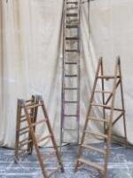 3 x Assorted Wood Ladders and Steps, 1 x 2 Section, 1 x Fold Out & 1 Set of 6 Tread Steps