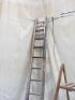 3 x Assorted Wood Ladders and Steps, 1 x 2 Section, 1 x Fold Out & 1 Set of 6 Tread Steps - 3
